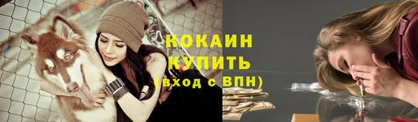 СК Навашино
