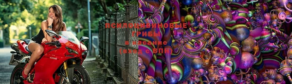 каннабис Михайловка