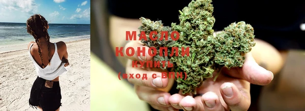 молекула духа Киреевск