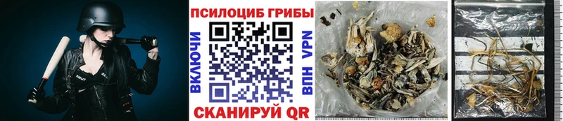 Псилоцибиновые грибы прущие грибы Кохма
