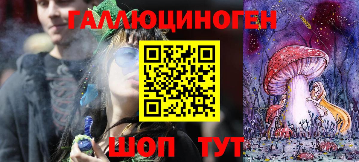 Кохма  Псилоцибиновые грибы Cubensis  Галлюциногенные грибы Cubensis  Вход с VPN 