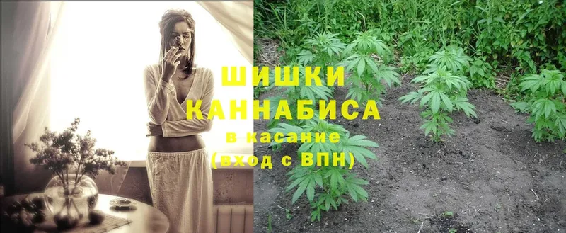 Каннабис Ganja  наркота  Кохма 