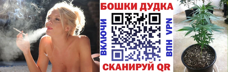 Марихуана семена  Кохма 
