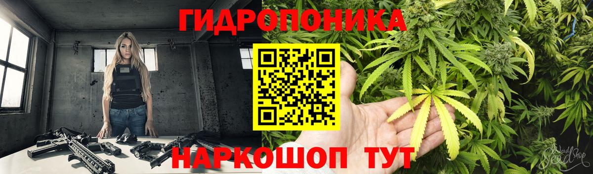 Бошки Шишки ГИДРОПОН Кохма
